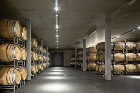 Weingut Klumpp Barriquekeller