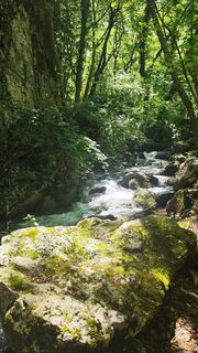 Photo de Ivana Kostic le long du parcours