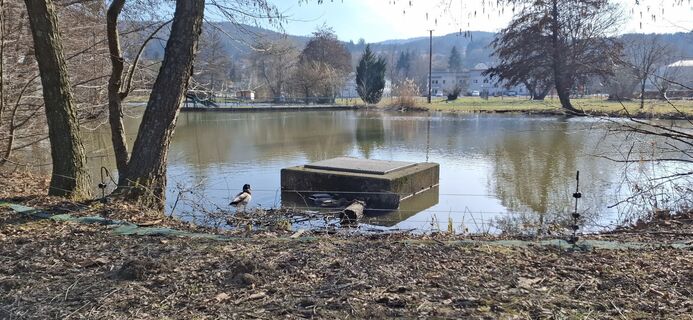 Foto de Anita a lo largo del recorrido