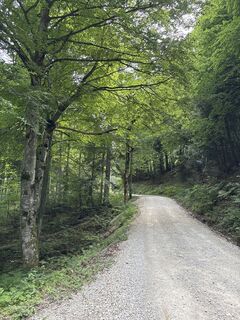 Photo de Heinz Sperl le long du parcours
