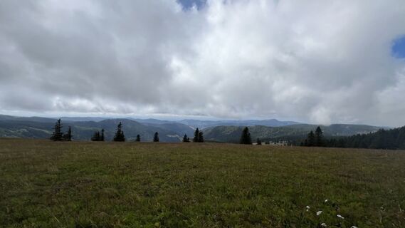 Foto från Volki F. under resans gång