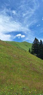 Fotografie de la Vincent Kolkman de-a lungul turului