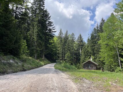 Foto von Heinz Sperl entlang der Tour