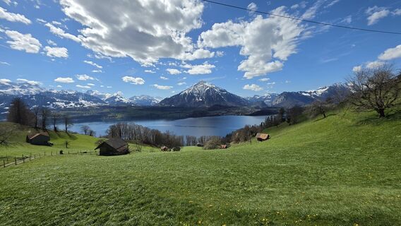 Fotografija s spletne strani Roman Mac na poti