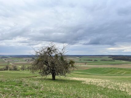 Foto von Max Weith entlang der Tour
