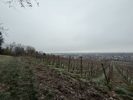 Fotografia z InesW na trase