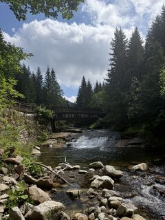 Foto von Alexander L. entlang der Tour