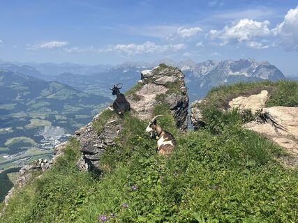 Foto von Thilo Moser entlang der Tour