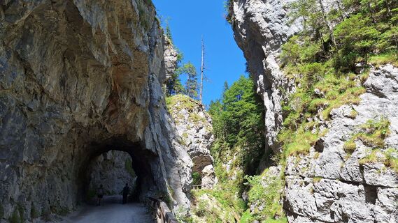 Fotó a Erika Gärber honlapról a túra során