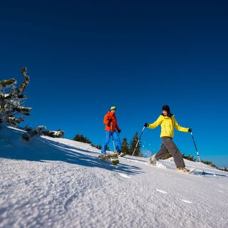 Schneeschuhwandern auf der Rax