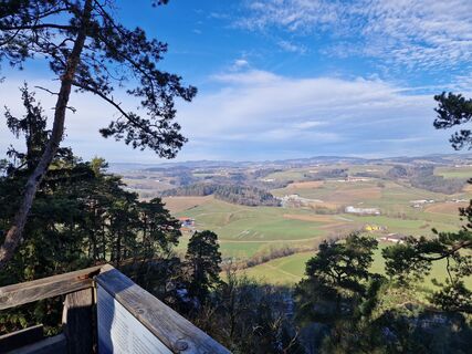 Fotografia z thomas widmann 3 na trase