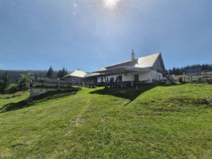 Fotografia z Walter Edelhofer na trase