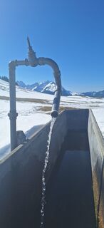 Foto von Gaby Brühwiler entlang der Tour