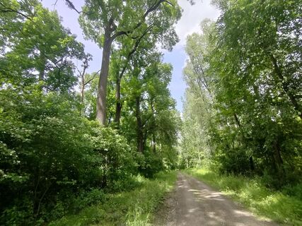 Foto de Annamária Bánki a lo largo del recorrido