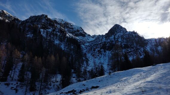Fotografija s spletne strani oscarpette82 na poti