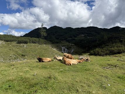Foto de Markus Landl a lo largo del recorrido