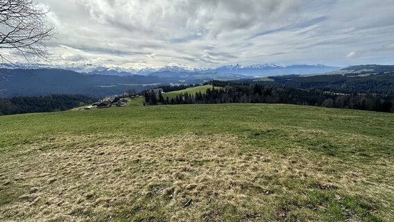 Foto von peter_oe entlang der Tour