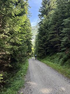 Foto da Heikoala lungo il tour