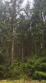 Foto från damilaja242 under resans gång