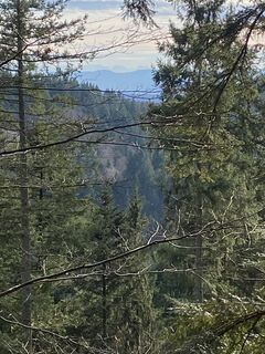 Foto från Torsten Müsse under resans gång