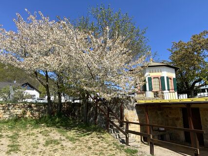 Foto von Arthur Muskalla entlang der Tour