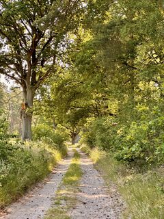 Zdjęcie z Dr. Rike Maurer wzdłuż trasy