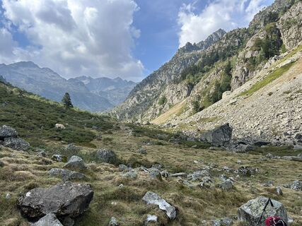 Photo de Jansu le long du parcours