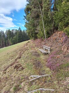 Foto von Dagmar Hofer entlang der Tour