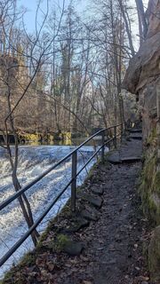 Foto von hochlandfamilie entlang der Tour