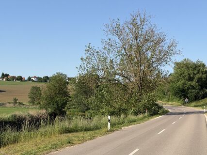 Fotografie z Schaali na trase