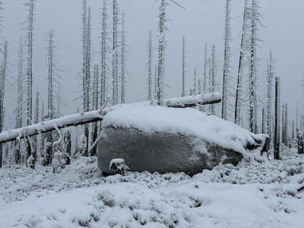 Photo de Dani Geiger / Natur_erleben_dg le long du parcours