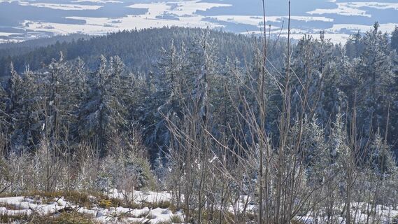 Photo de prager64 le long du parcours