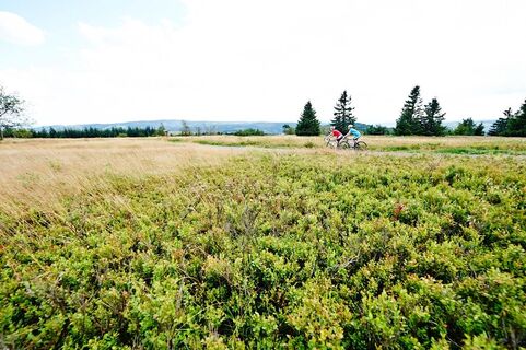 In der Hochheide-Landschaft des Kahlen Astens