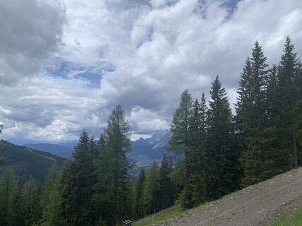 Foto von Diana entlang der Tour