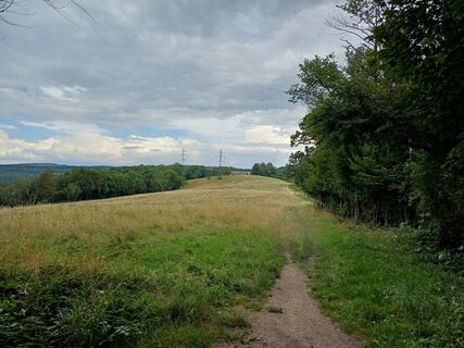 Foto von Tom Theuer entlang der Tour