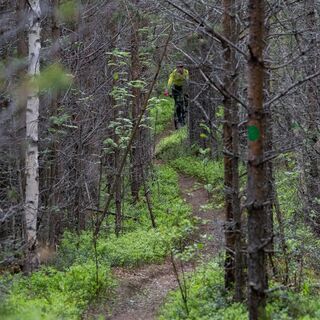 Utra Trail