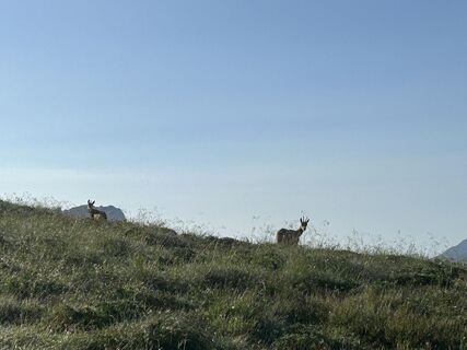 Foto de Stefan Ruhringer a lo largo del recorrido
