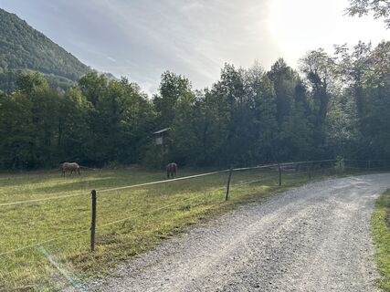 Foto von K8ftvybt66 entlang der Tour