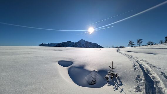 Foto von Klaus Lehner entlang der Tour