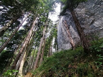 Fotografija s spletne strani Turbinio na poti