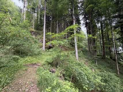 Foto von Dmitry Sotnikov entlang der Tour