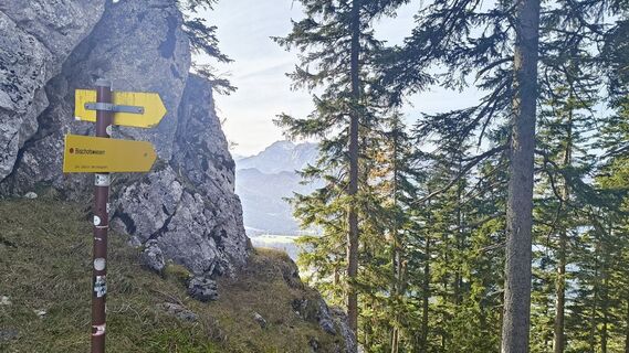 Photo de Johannes Zaunrith (Xinoi) le long du parcours