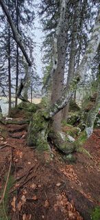Fotó a Mario Thomaschütz honlapról a túra során