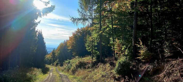 Fotografia z Rick123 na trase