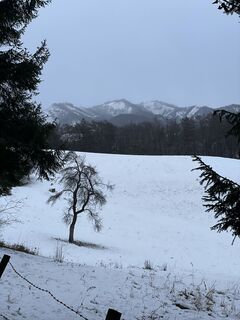 Foto von Manfred Plattner 1 entlang der Tour