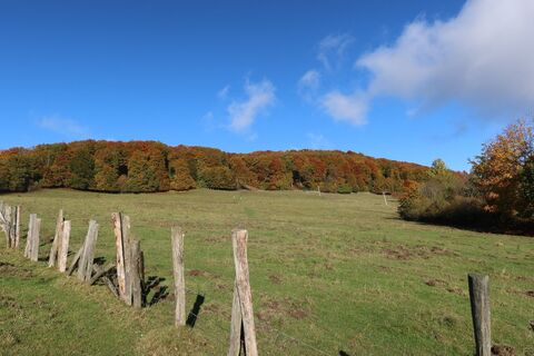 Photo de Christiane Schütz le long du parcours