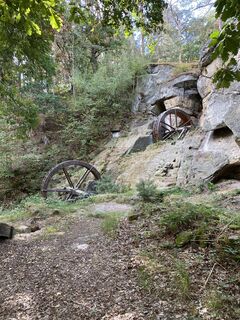 Photo de wappa le long du parcours