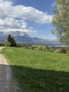 Fotografija s spletne strani Erzsébet Harangozó na poti