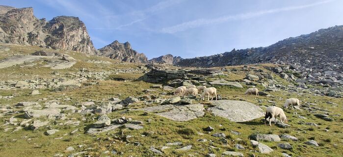 Zdjęcie z Daniele Spezia wzdłuż trasy