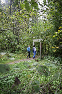 Wanderportal Gauchschlucht